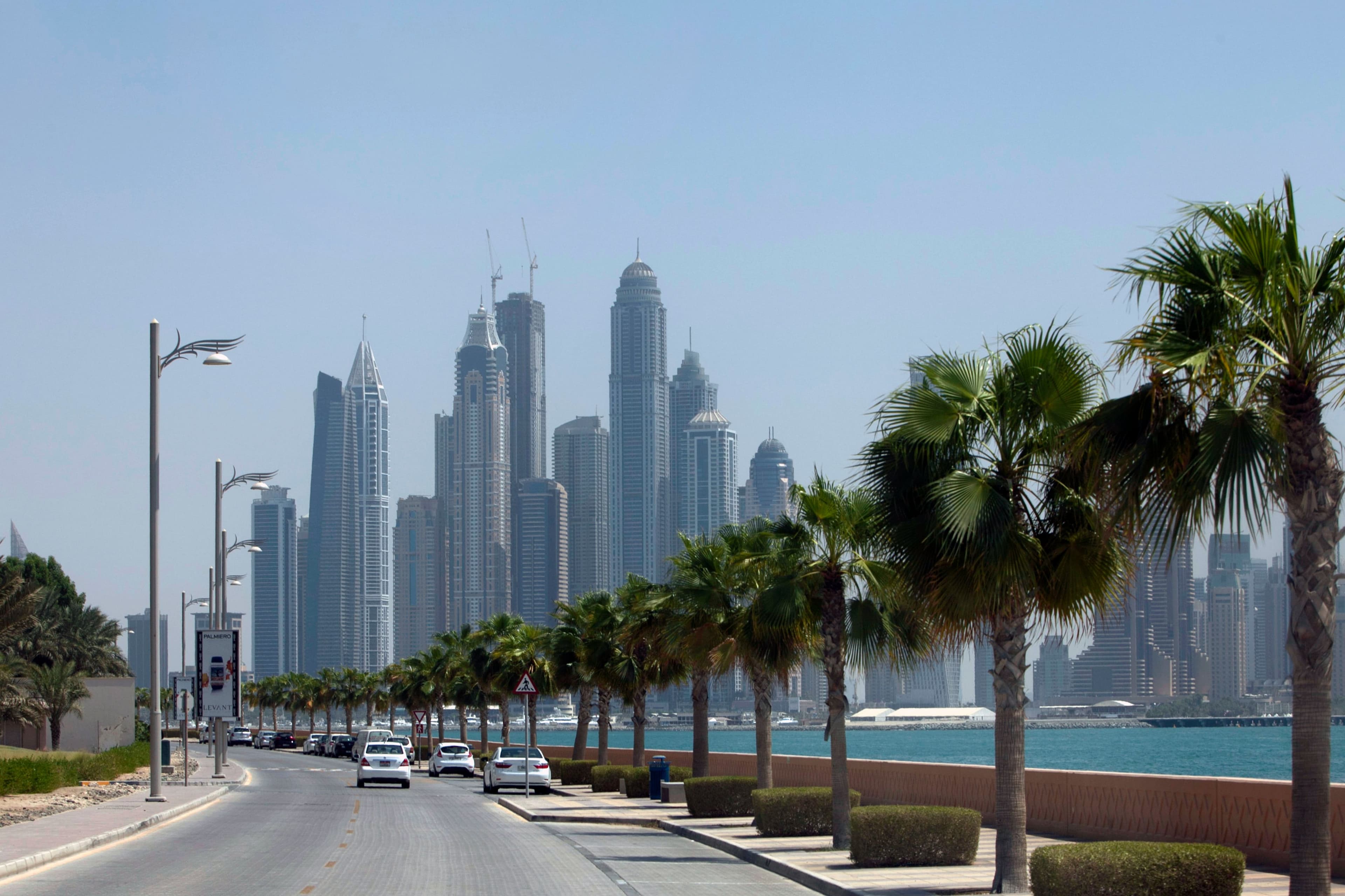 Palm Beach Towers Area Guide